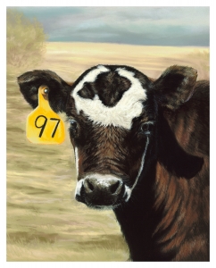 "97"