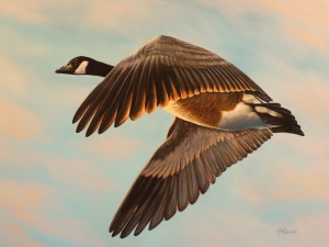 Morning Flight