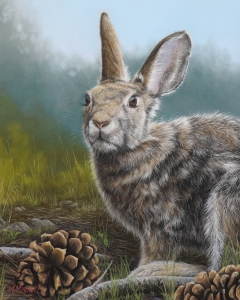 Bad Hare Day