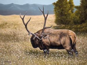 Pinon Meadow